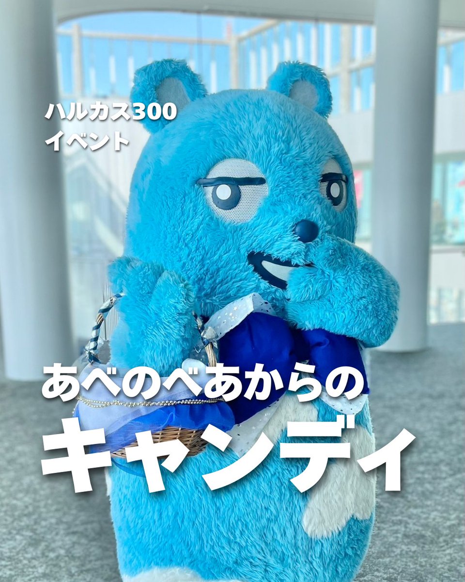 harukas300_ob's tweet photo. 期間中（2月15日〜3月14日）
あべのべあは青いリボンを付けてお散歩してるよ🧸🩵
出会えたらキャンディが貰えるかも🍭

 3月3日はひな祭り！
今週末（2月28日、3月1日）はお内裏様のあべのべあが
キャンディをプレゼント！是非会いにきてね♡
皆様のご来館心よりお待ちしております💐

✎𓂃
キャンペーンやプレゼント企画をXにて
随時開催！こちらもチェックしてみてね。

#あべのべあ #ひな祭り #プレゼント #期間限定 #イベント #harukas300 #あべのハルカス #展望台 #osaka #japan #家族でおでかけ #天王寺