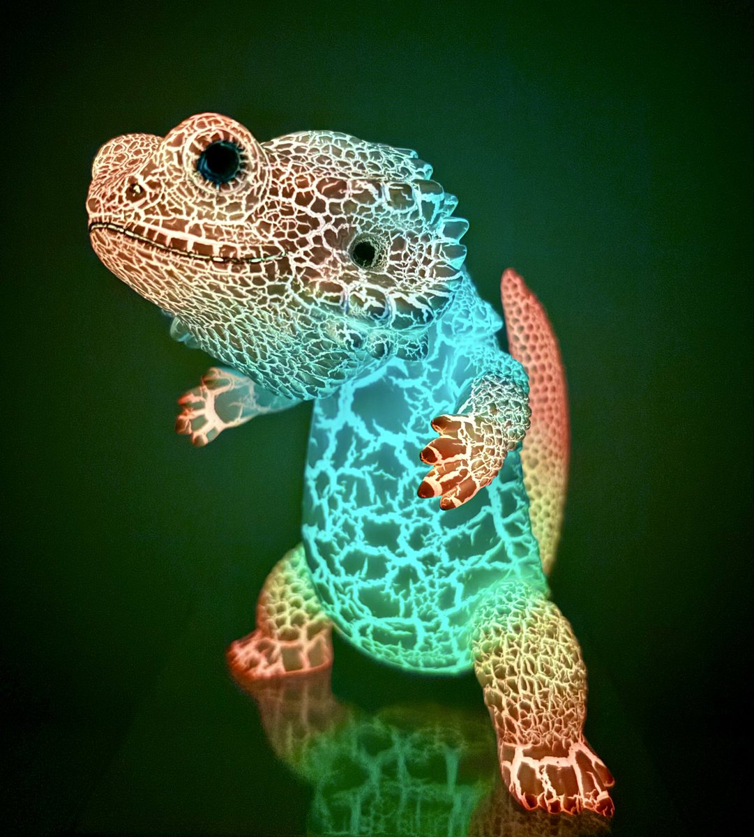 RT @mym333152124: ペインターネットさんのフトアゴン🦎 レインボー