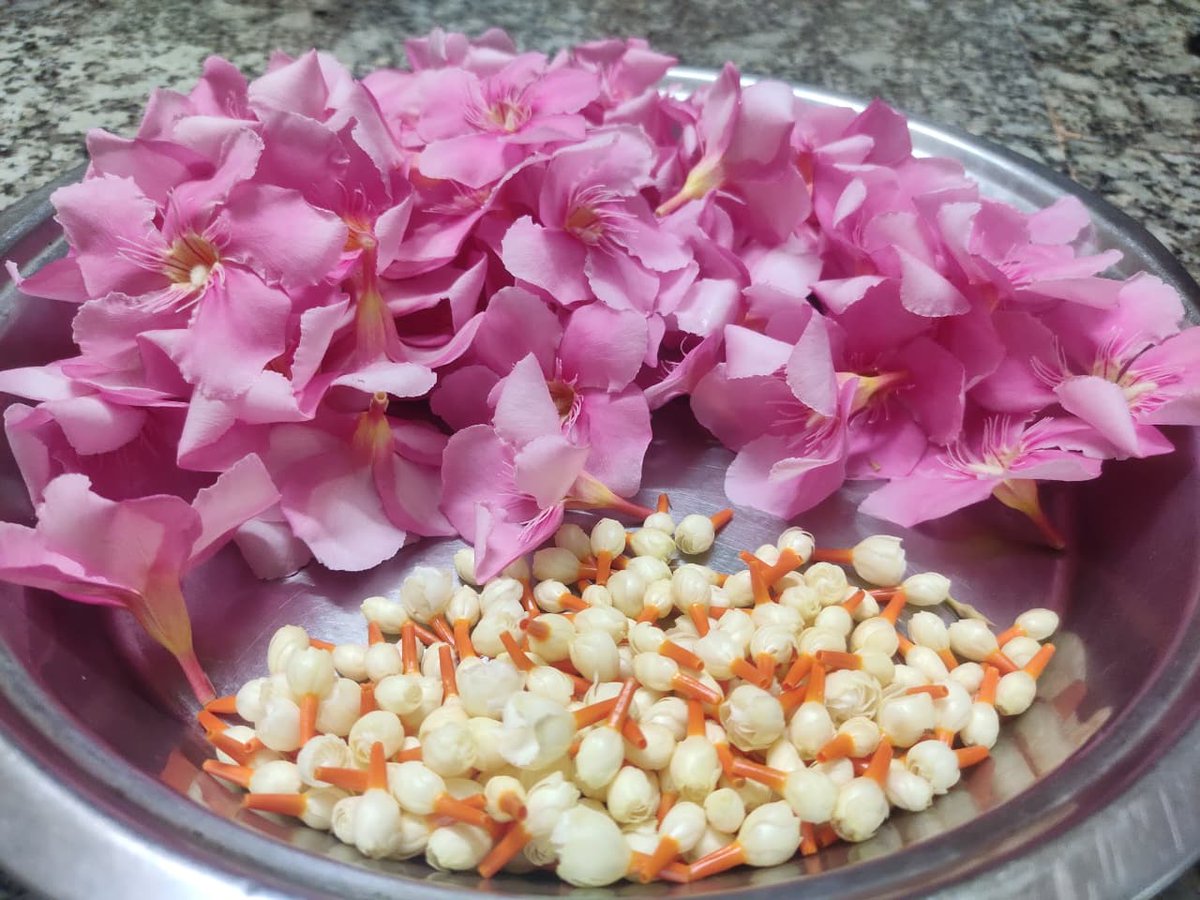durgaramdas's tweet image. Kanagile and Parijata flowers from our home 🌸
Pure, simple, and deeply rooted in our traditions ✨
#HomeGarden #Parijata #Kanagile #NatureAtHome
