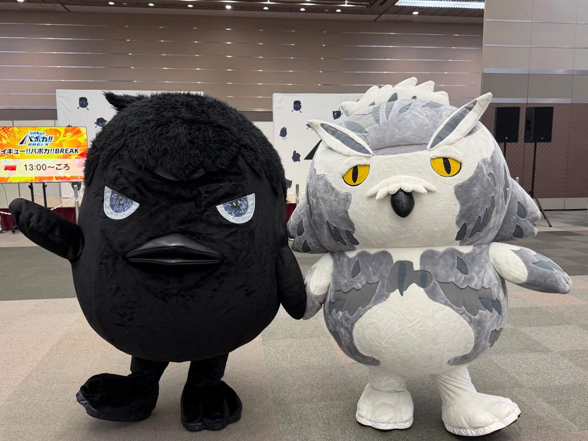 バボカ発売記念イベント開催🎪】 バボカミニステージにカゲガラスと