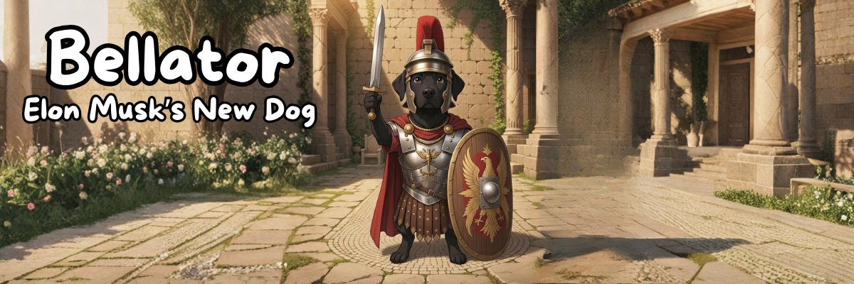 New Banner

Y/N ?
