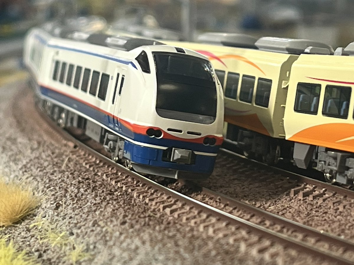 東京・本店4階】本日ご来店のお客様① E653系しらゆき、いなほ ※ 3,4