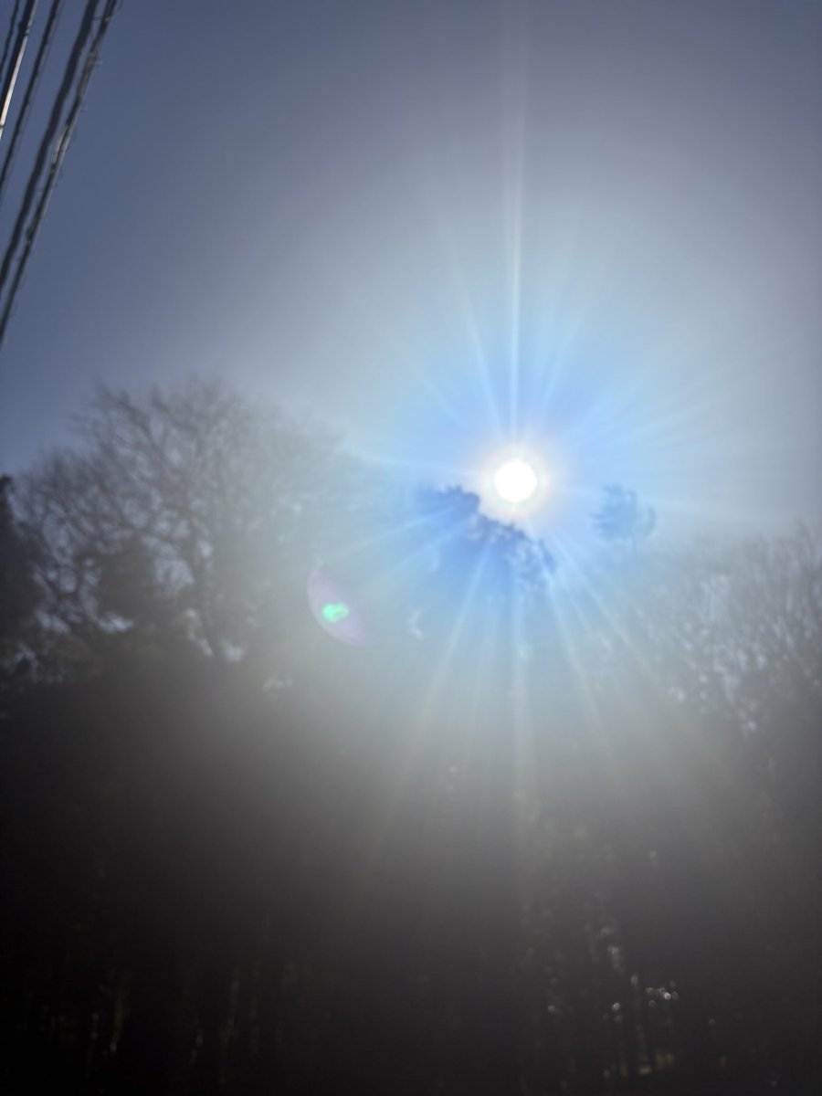 今日は暑すぎて着るものがわからなすぎる。翻弄されてるぜぇ