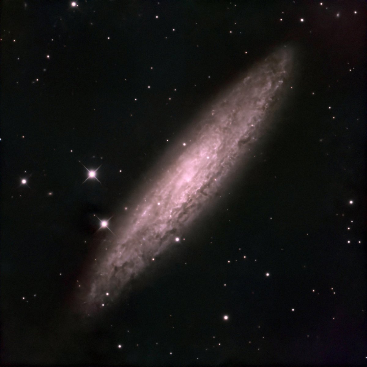 NGC253 高度が低くコマ数を稼げないので我が家からは難物です。2023年