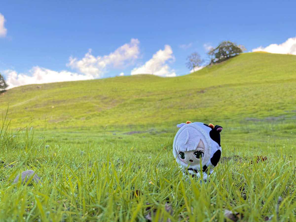 MultiCube26 tweet media