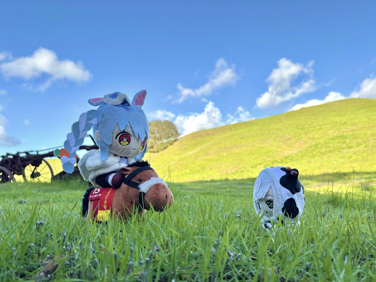 MultiCube26 tweet media