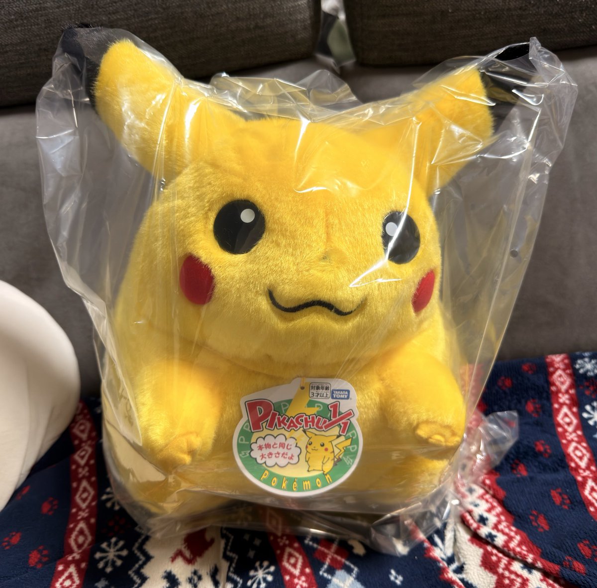 はじまりのピカチュウ ぬいぐるみ ポケモンセンター 完売品 ポケモン】「はじまりのピカチュウ」が一時的に品切れ状態に。受注開始