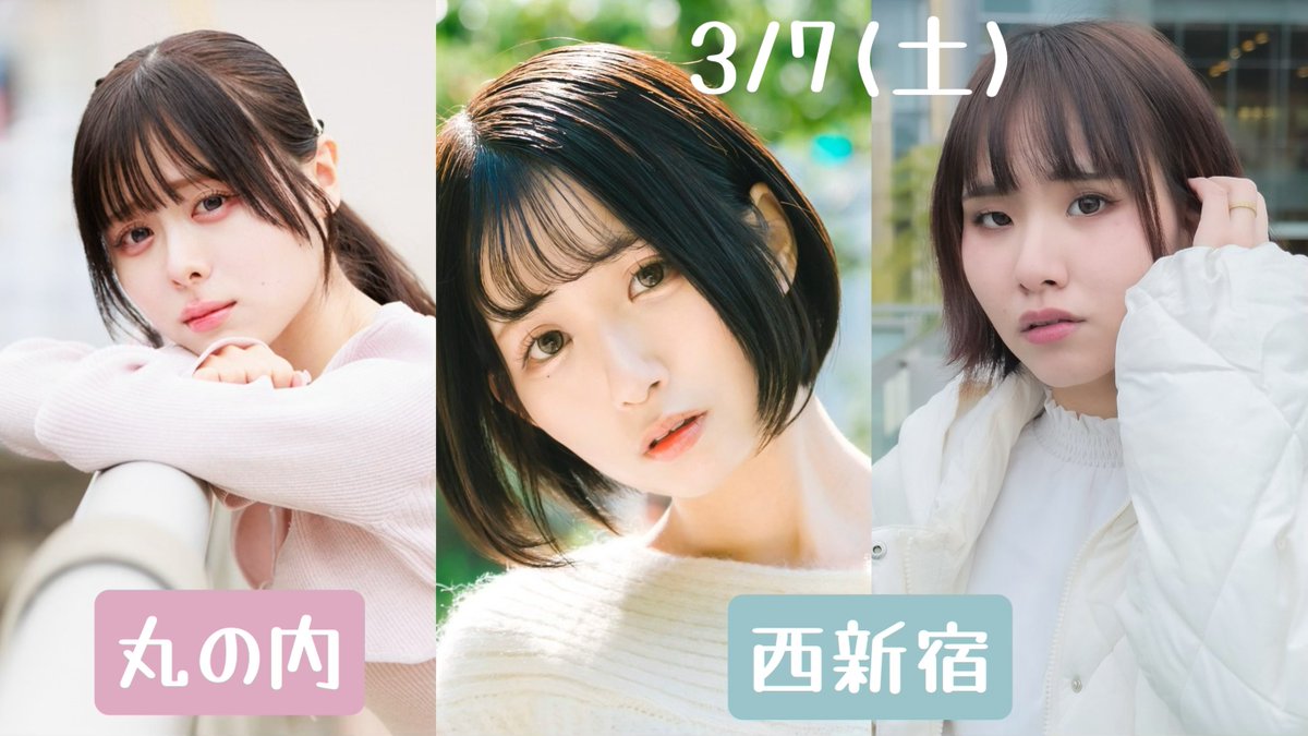 コットン撮影会☁モデル募集中 tweet media