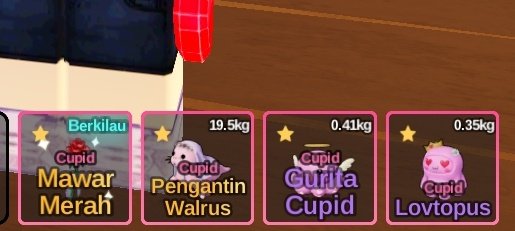 Wikuu | @ after dm tweet media