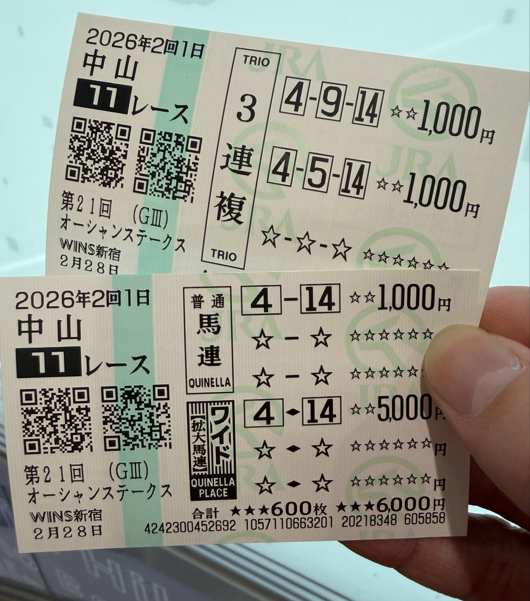オーシャンSの馬券買いました。 馬連ワイドが本線で追加で3連複も購入