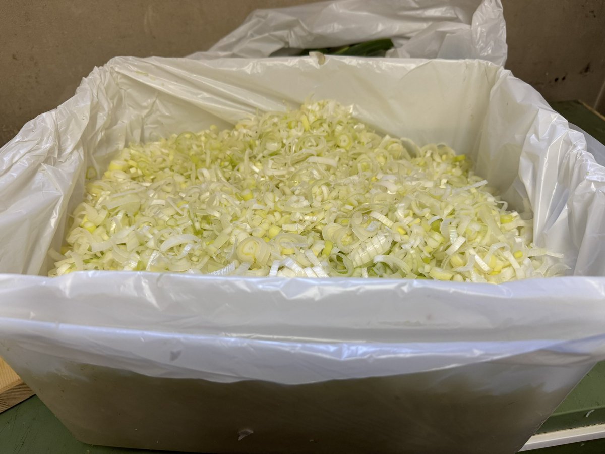 ネギ15kg包丁で八つ裂きにしてやったぜ‼️🤣