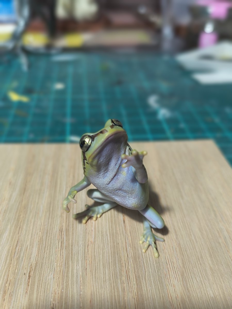 Bakaeru_model:蛙の棚 tweet media