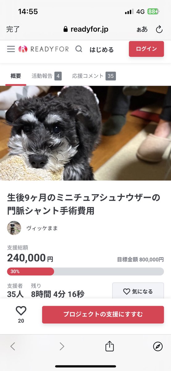 🚨 #拡散希望🚨 #ご協力お願い致します 
🆘門脈シャントと闘っているヴィッケちゃん‼️
🆘11ヶ月の女の子です‼️
🆘クラファン挑戦中‼️
🆘残り8️⃣時間となり大変厳しい状況です‼️
readyfor.jp/projects/167721 
🆘どうかヴィッケちゃんにお力をお貸し頂けないでしょうか🙇‍♀️
🆘何卒宜しくお願い致します🙇‍♀️🙇‍♂️