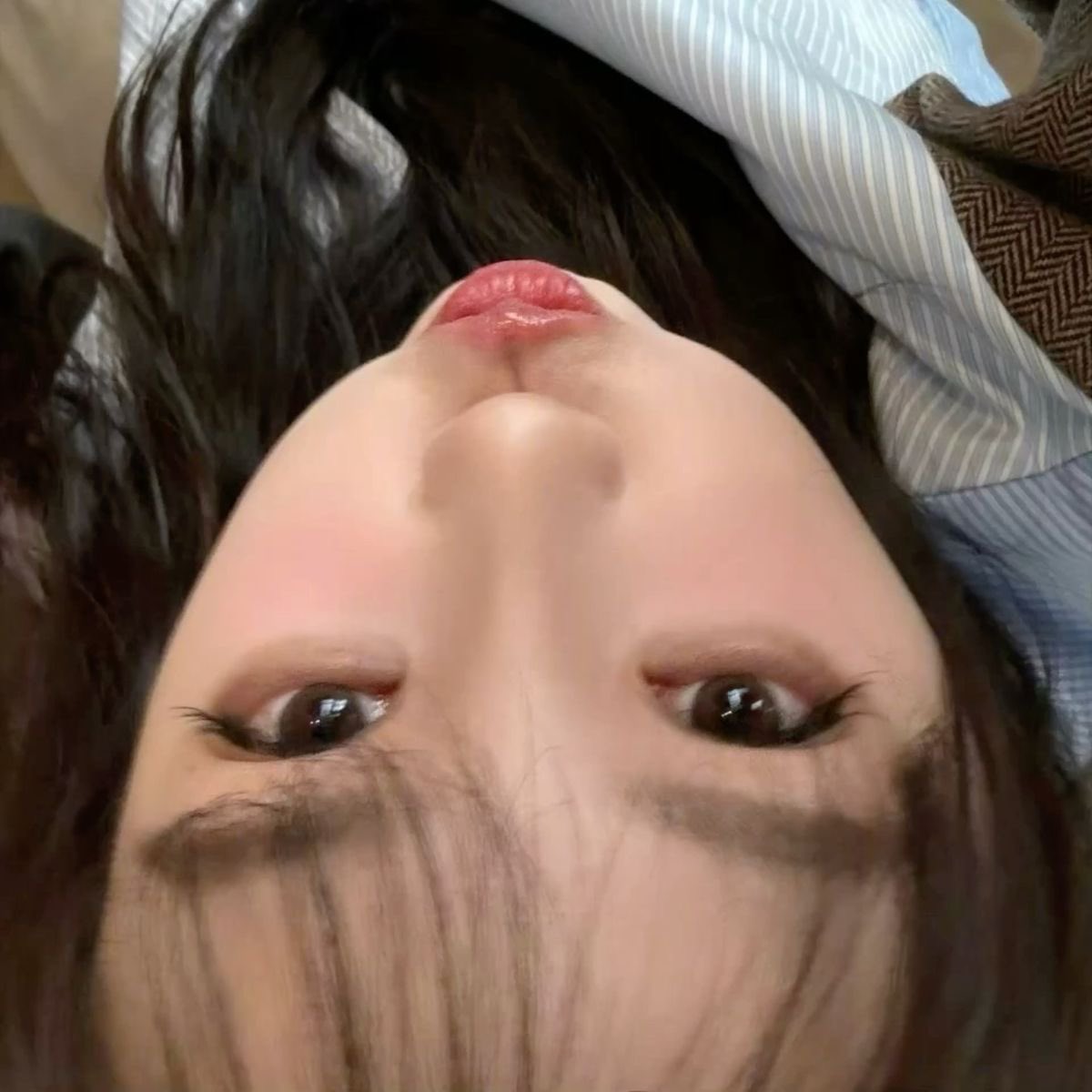 xinxin. tweet media