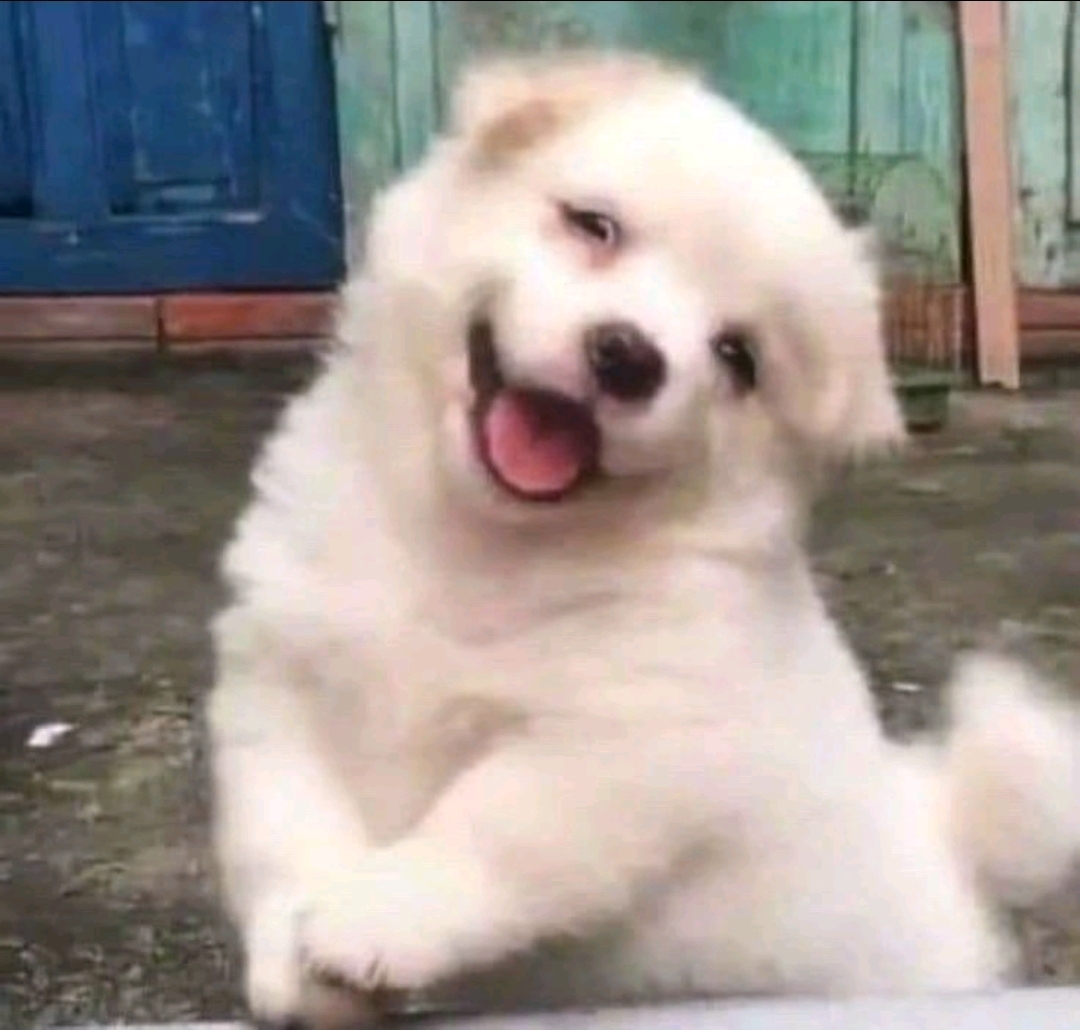 charlie ☂︎ tweet media