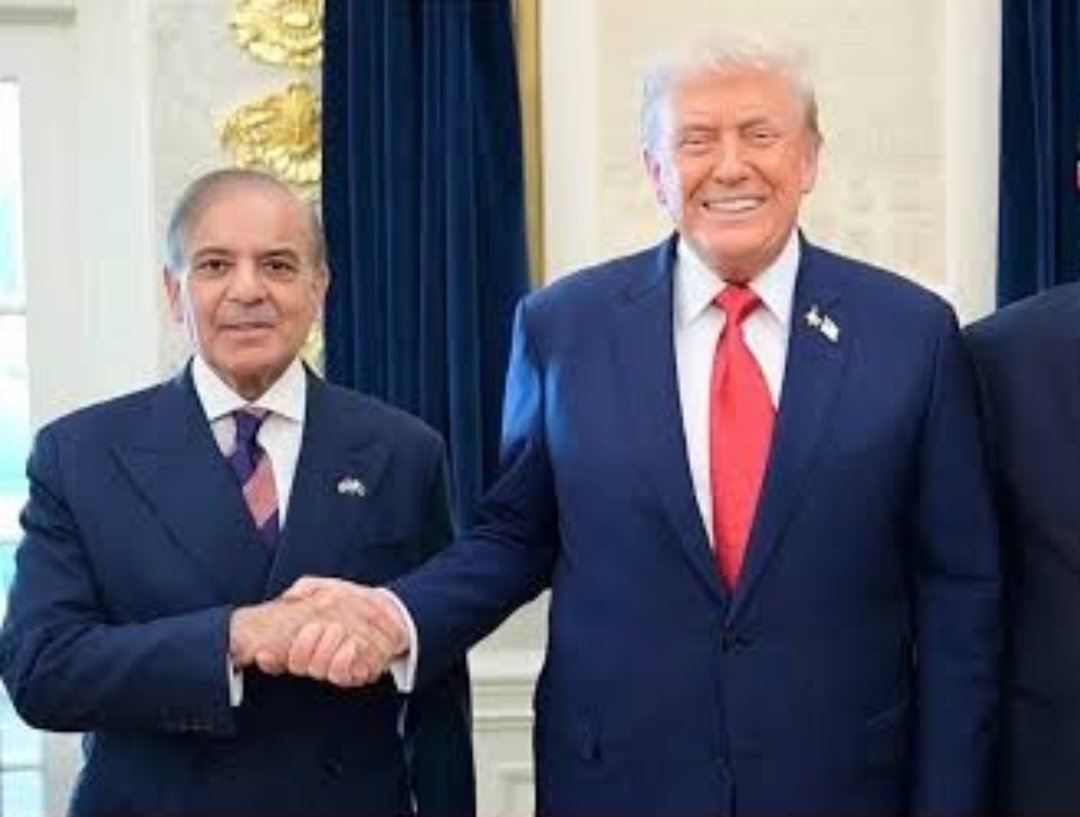 شهبازشریف تروریست چطوری کخ مردم خودت رادرمسجد قتل عام کردی این باید تنبیه شود تاامریکاپول می دهد که مردم بیگناه بکش امریکادست ازکشتارمردم بیگناه بردارد این زدبشراست بی رحمی وسنگدلی است