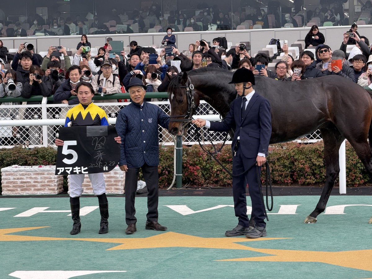 hideo_Almond9's tweet photo. 国枝厩舎ラストウィーク
三冠馬アパパネの仔のアマキヒが
頑張りました😆
応援ありがとうございましたm(_ _)m

 #厩舎解散まであと３日
 #アパパネ 
 #アマキヒ https://t.co/6qeUY4fEsY