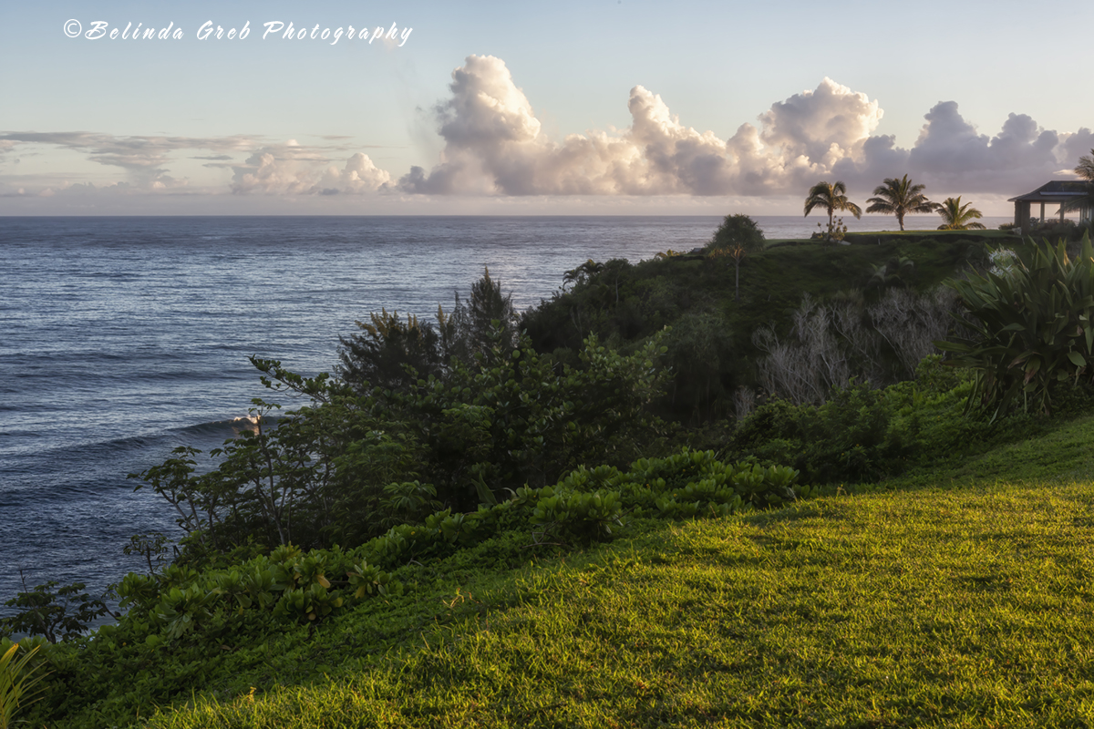 BelindaGreb's tweet photo. So easy to wake up to a morning like this.
Morning on the Princeville Bluffs in Kauai 
©Belinda Greb Photography
Msg for link for prints/products https://t.co/9lhAIL1Bvd