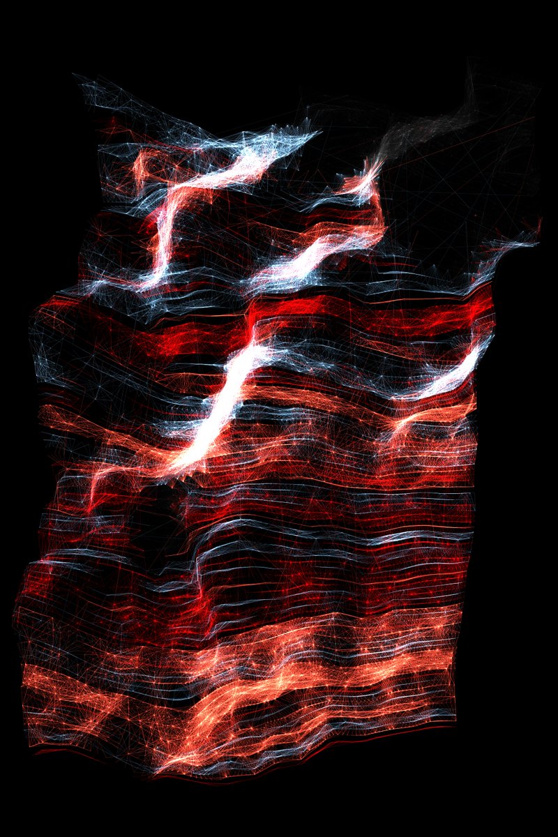 Lammetje tweet media