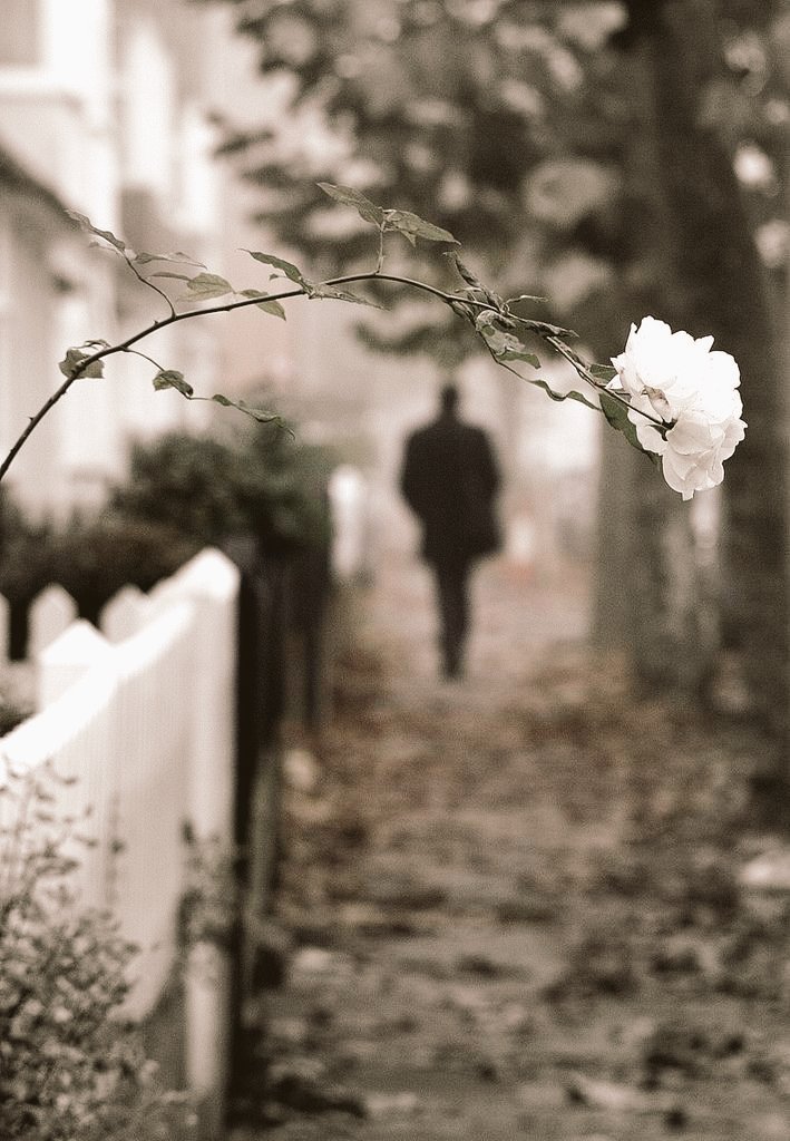 آ کے دروازے سے لوٹ گئے ھو .....!!!
یوں بھی کوئی آئے گا ، سوچا تو نہیں تھا