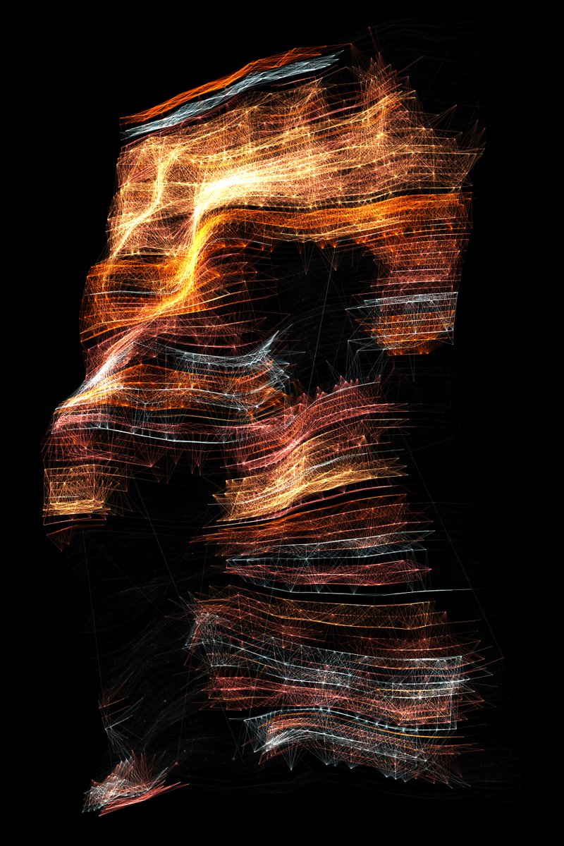 Lammetje tweet media