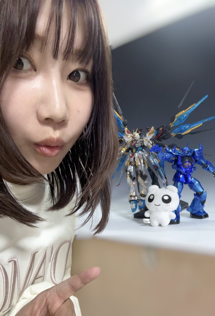 dokuota_akkie's tweet photo. 最近とある制作ラボに通ってたら
こんなカッコいいMGEXストフリとMGグフが出来ました‼️
#ガンプラ https://t.co/Hc6ajv1VnN