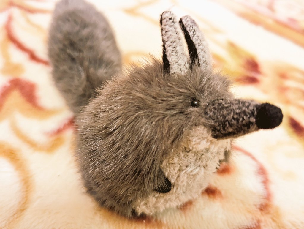 ずっと楽しみにしてたのサン・アローのおおかみさん届いたー！！！これでしばらくはぬいお迎えしないっっ