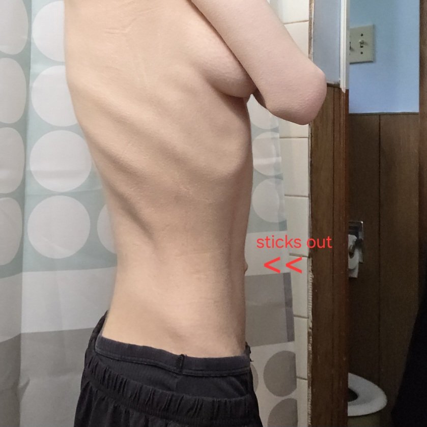 evie･☆ *.☽ tweet media