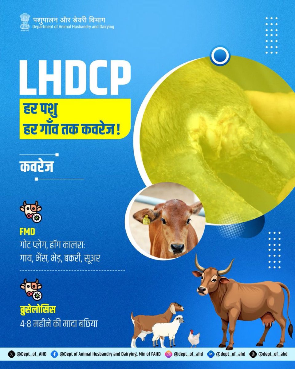 upldblko's tweet photo. LHDCP (पशुधन स्वास्थ्य और रोग नियंत्रण कार्यक्रम) के तहत पशुधन में प्रमुख संक्रामक रोगों की रोकथाम हेतु टीकाकरण कार्यक्रम संचालित किए जाते हैं।
इसका उद्देश्य पशुओं के स्वास्थ्य की सुरक्षा, रोग नियंत्रण और उत्पादकता में सुधार सुनिश्चित करना है।
#healthylivestock #Animal #upldb https://t.co/9Msn6gxQjE