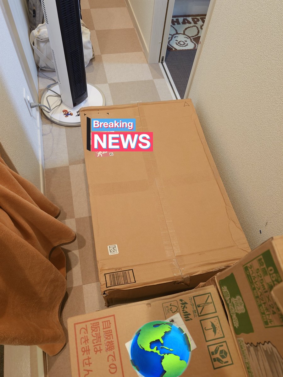 Amazonくんはさぁ…なんでこういう訳の分からない梱包の仕方するの？？