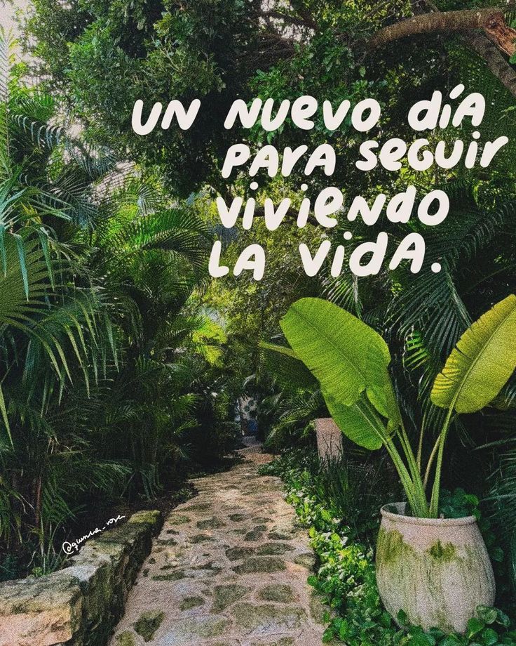 Gabriela Castillo Blanco (@gabycblanc) on Twitter photo 