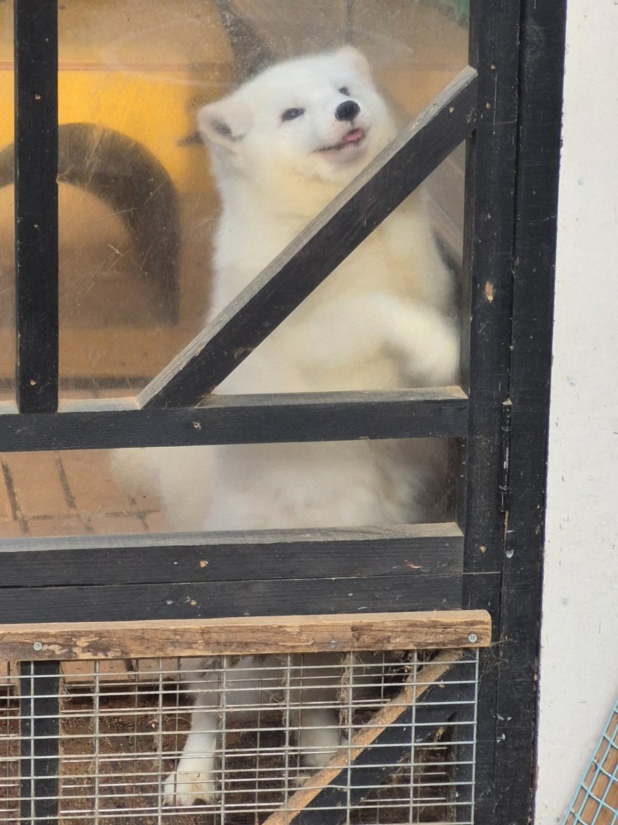 ْ (@65907_30_4) / Posts / X