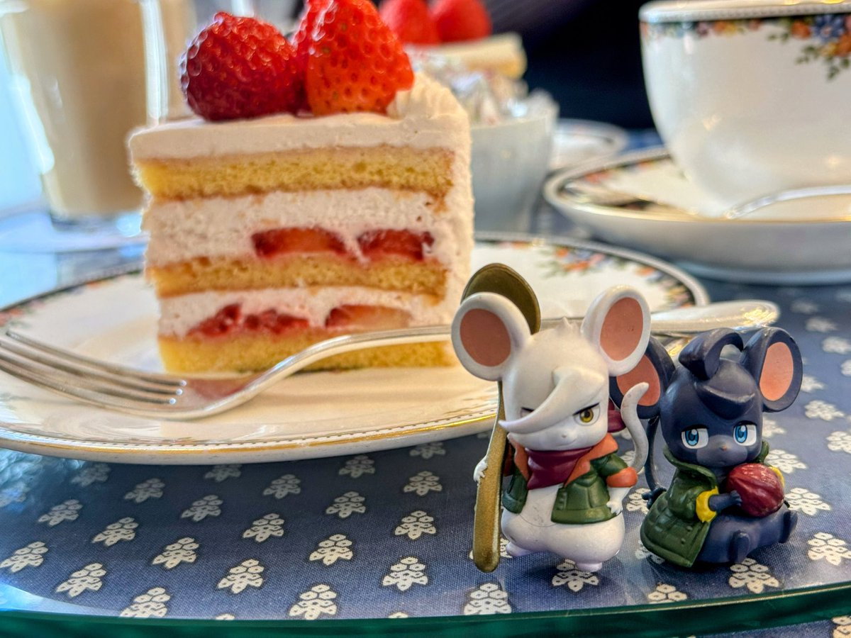 こてちゅ🐁🍉 tweet media