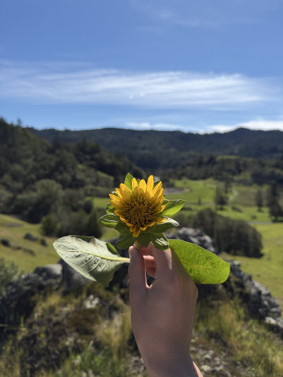 Jxdvn - UEFN Developer 🪓 tweet media