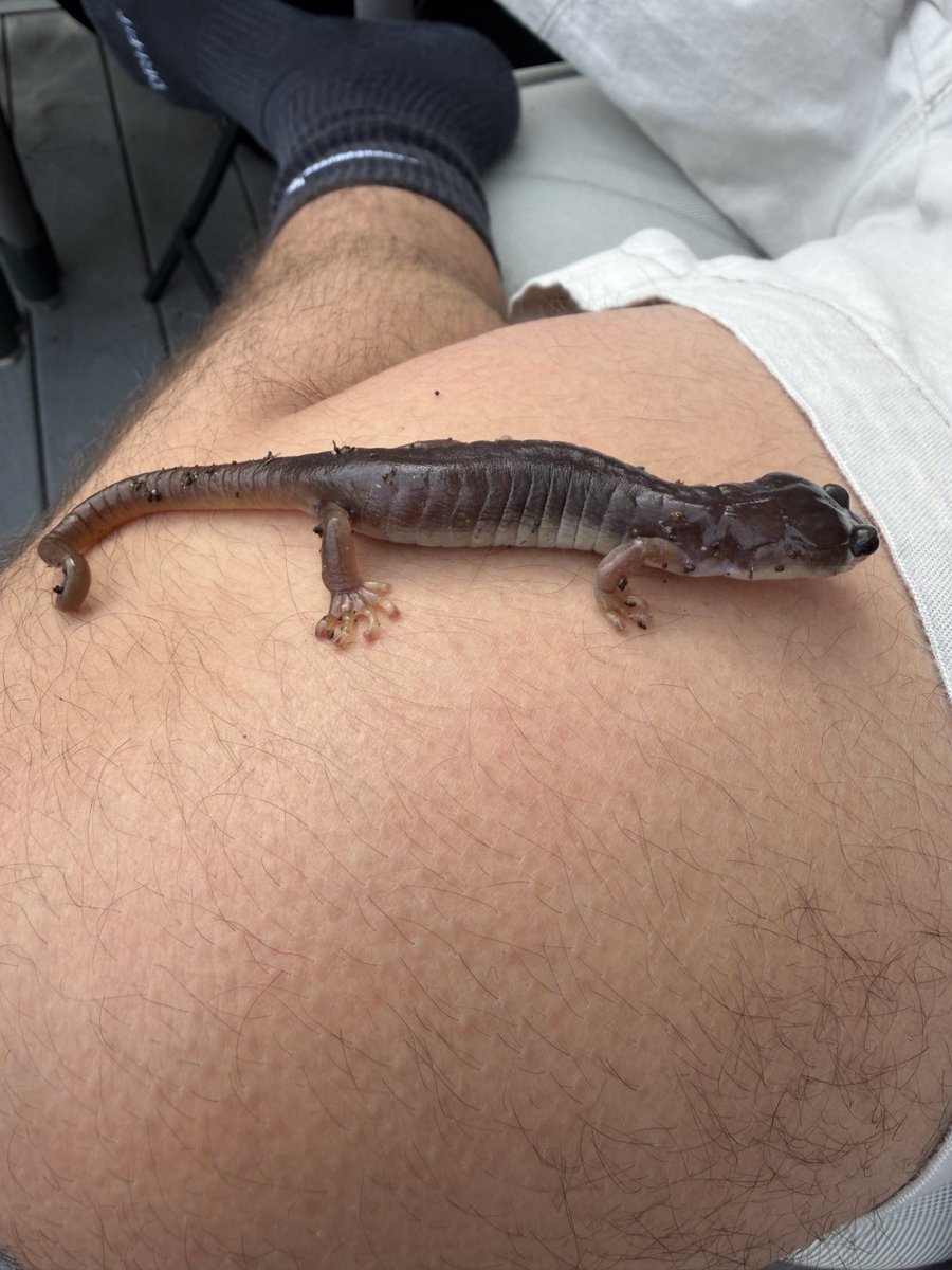 Jxdvn - UEFN Developer 🪓 tweet media