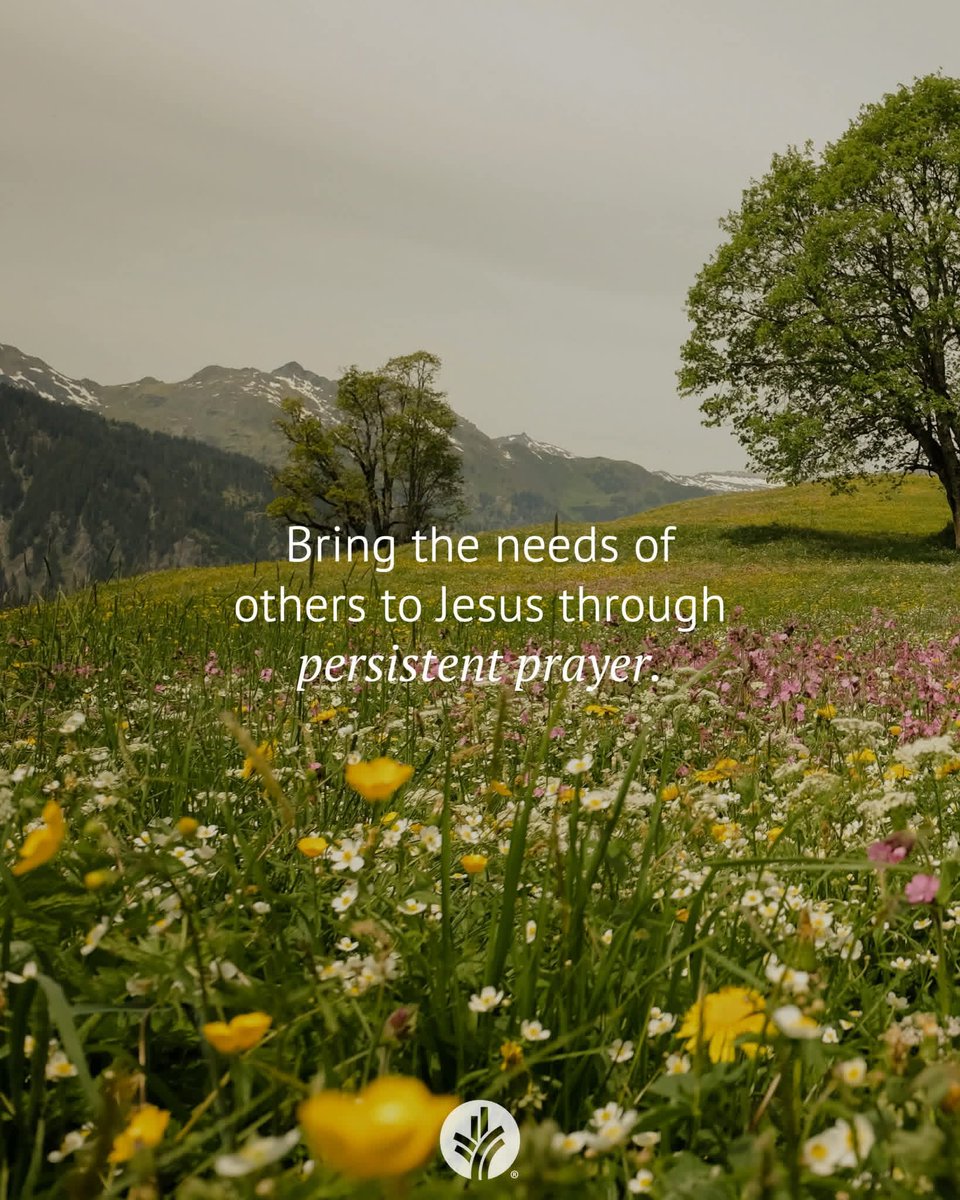 How has the faith and persistence of friends helped you? What can you do to help someone today?

Healing God, thank You for persistent and faith-filled friends. Please help me to persistently lift others to You.