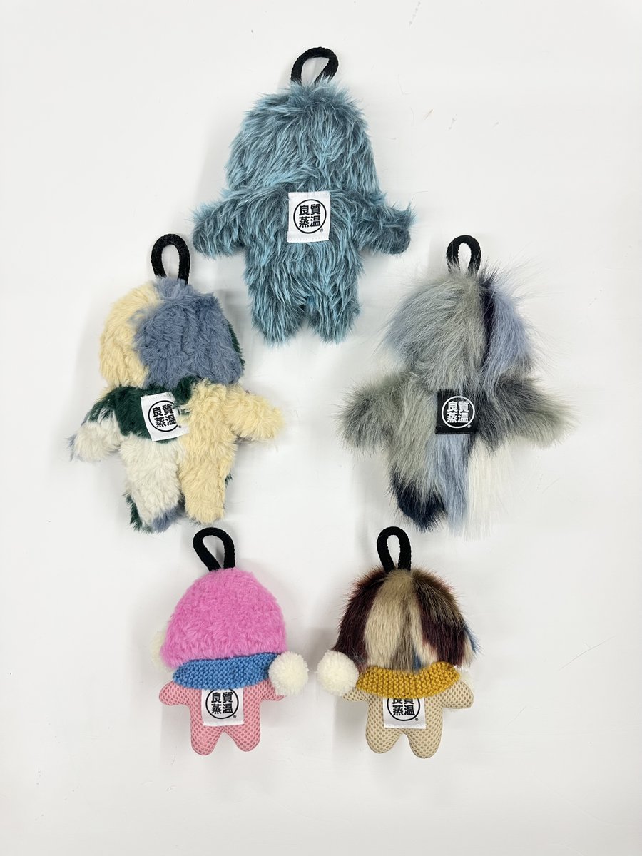 3/1（日） 長足メッシュ君。 足長のモデル体型のメッシュ君です