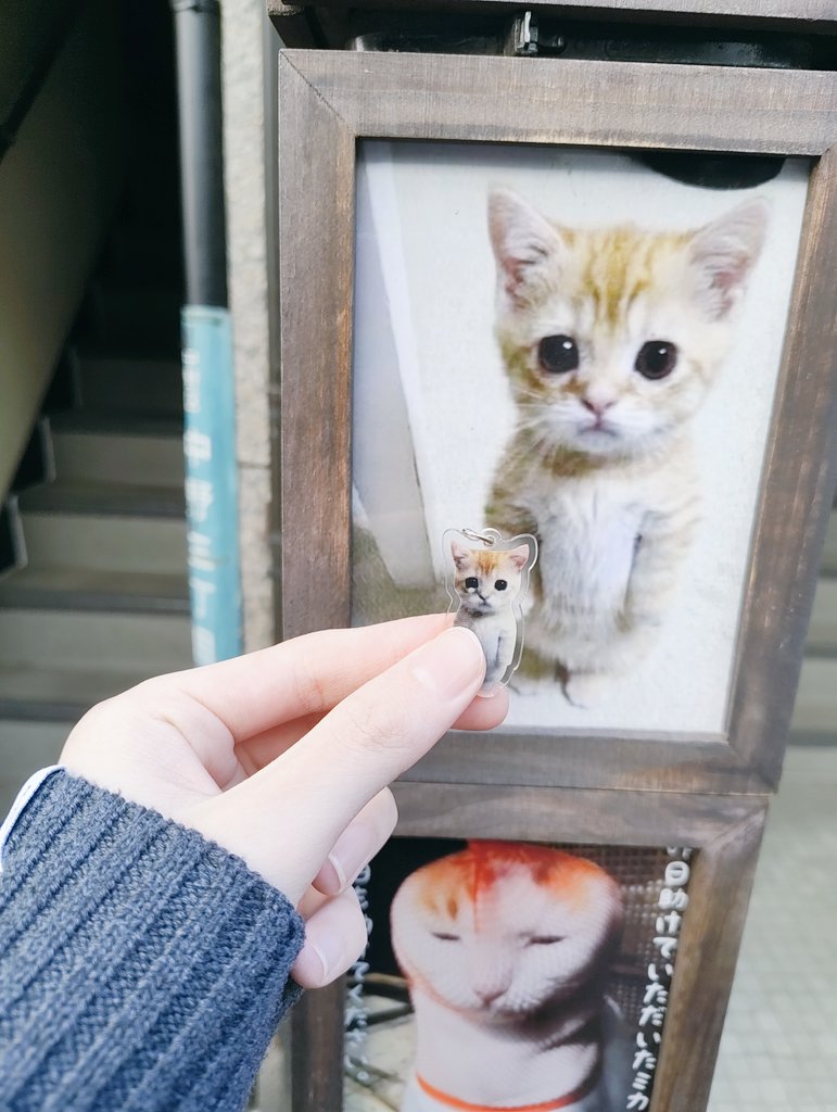 もちうつ2 tweet media