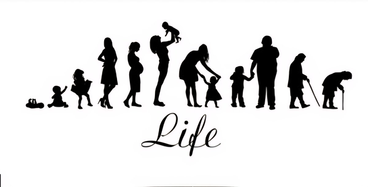Countries by Life Expectancy in 2026 🧬

🇲🇨 Monaco - 86.7 Years
🇸🇲 San Marino - 86.0
🇭🇰 Hong Kong - 85.9
🇯🇵 Japan - 85.2
🇰🇷 South Korea - 84.6
🇦🇩 Andorra - 84.5
🇨🇭 Switzerland - 84.4
🇦🇺 Australia - 84.3
🇮🇹 Italy - 84.2
🇸🇬 Singapore - 84.1
🇪🇸 Spain - 84.1
🇱🇮 Liechtenstein - 84.1
