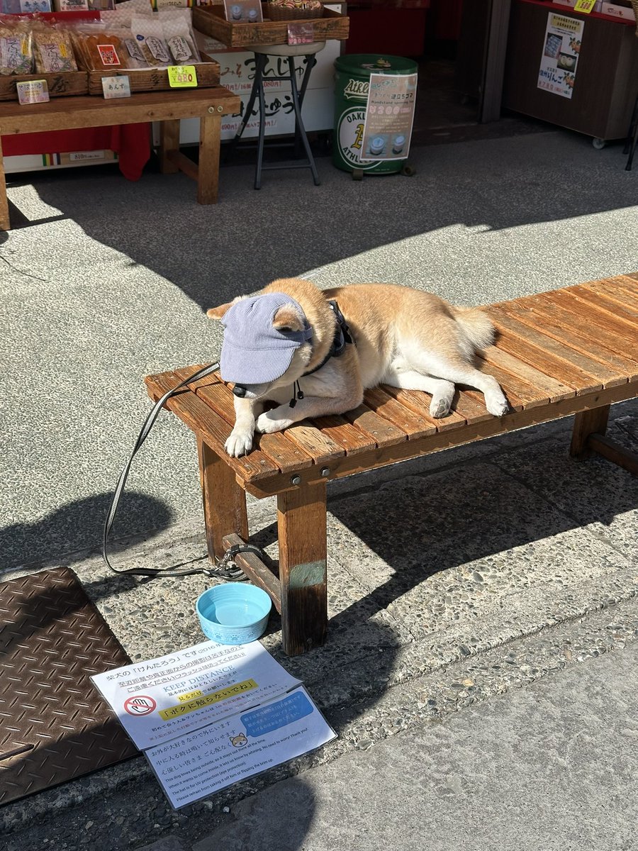 bottledplanets's tweet photo. 📍nagano https://t.co/947YaTCJpn