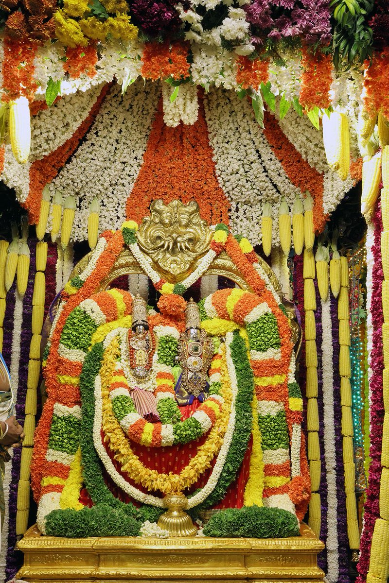 TTD Seva tweet media