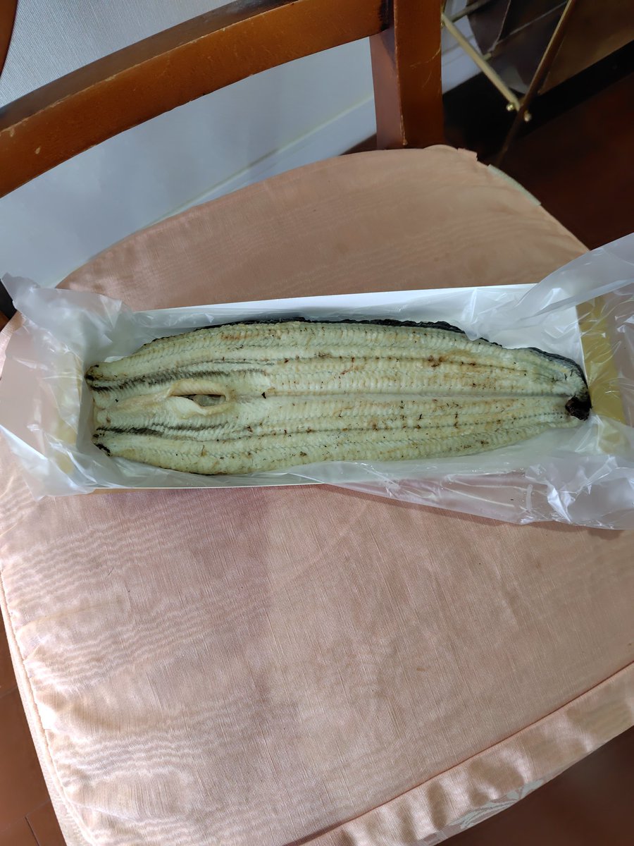 あまり映えないのですが、昨日、浜松でうなぎを購入。
以前、穴子を食べた際、とある目利きの天才と言われた方曰く、「たれがついていない穴子を出している寿司屋は素材が良い」と言われたのを思いだしました。値段もお手頃でした。わさびでいただきます。#うなぎ
#浜松