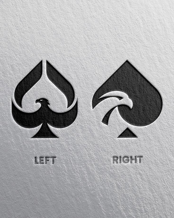 Olivia Collins tweet media