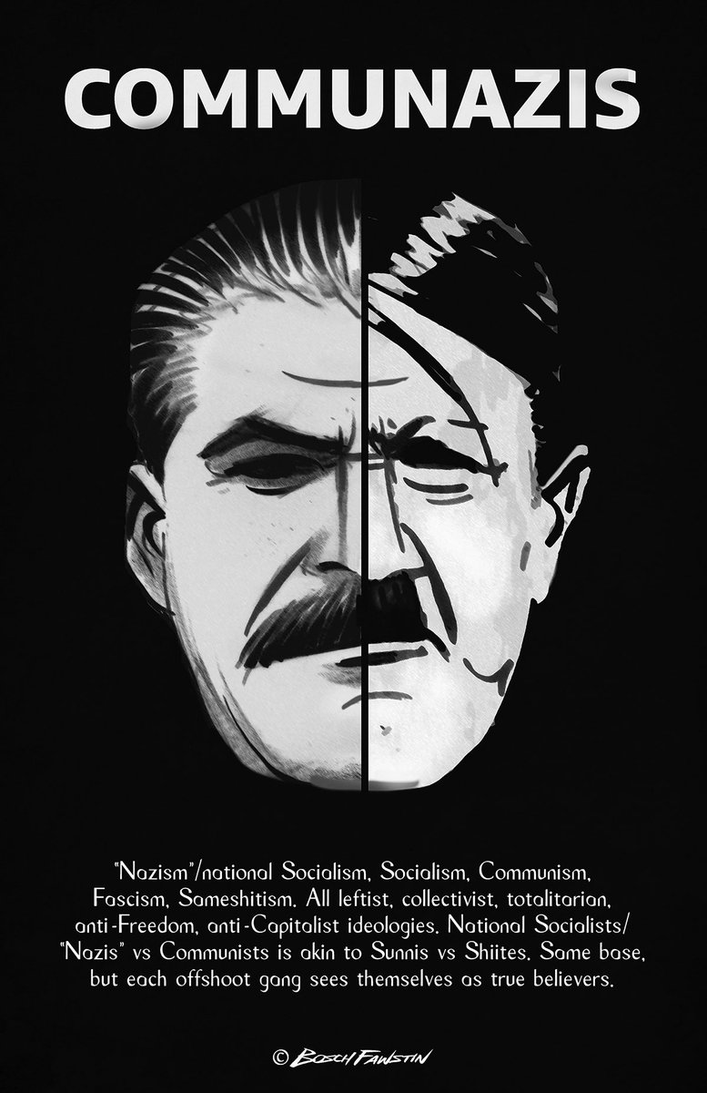 This cartoon of mine makes leftists and closet leftists lose their shit the way Muslims lose their shit over my Mohammad cartoons. Because it’s true and counters the 70+ year leftist propaganda that national socialism/‘nazism’ and fascism are ‘right wing’. It kills their big lie.