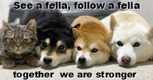 Fellas, hard working <a href="/Span1shTapas/">SpanishTapas Fella 🇪🇸🇫🇷</a> helps Fellas get follows.

How about following <a href="/Span1shTapas/">SpanishTapas Fella 🇪🇸🇫🇷</a> Fella now?