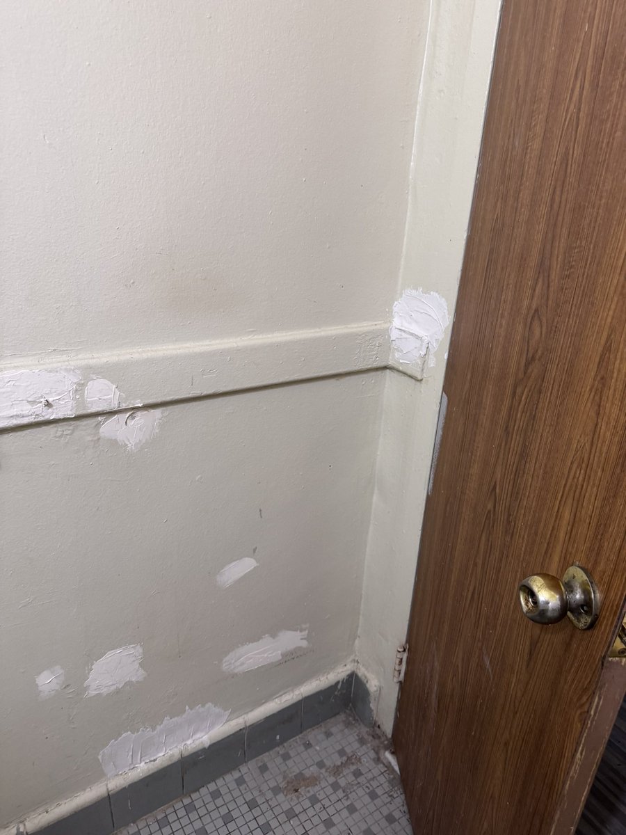 String Sinatra Photography tweet media