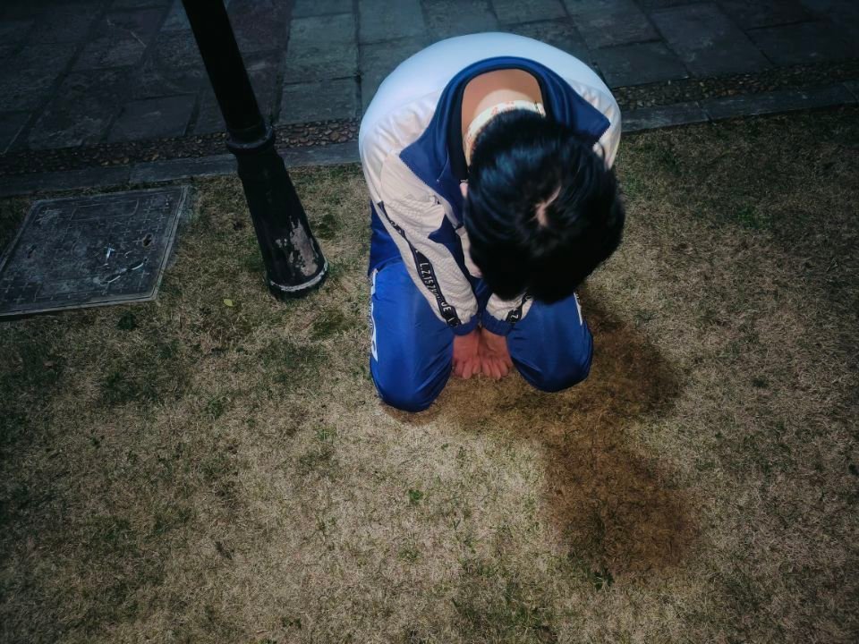 湫兮如风 tweet media