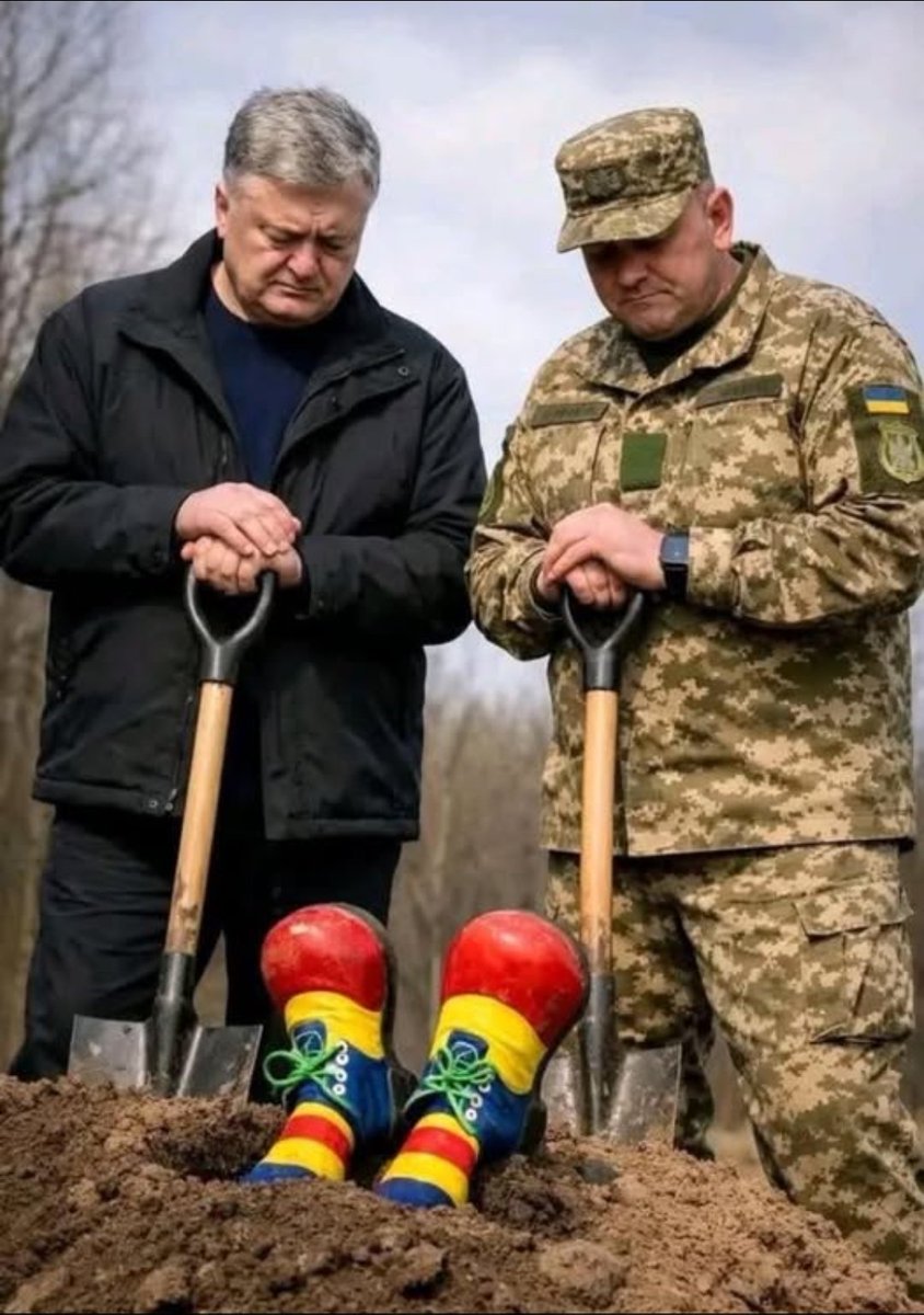 Володимир tweet media