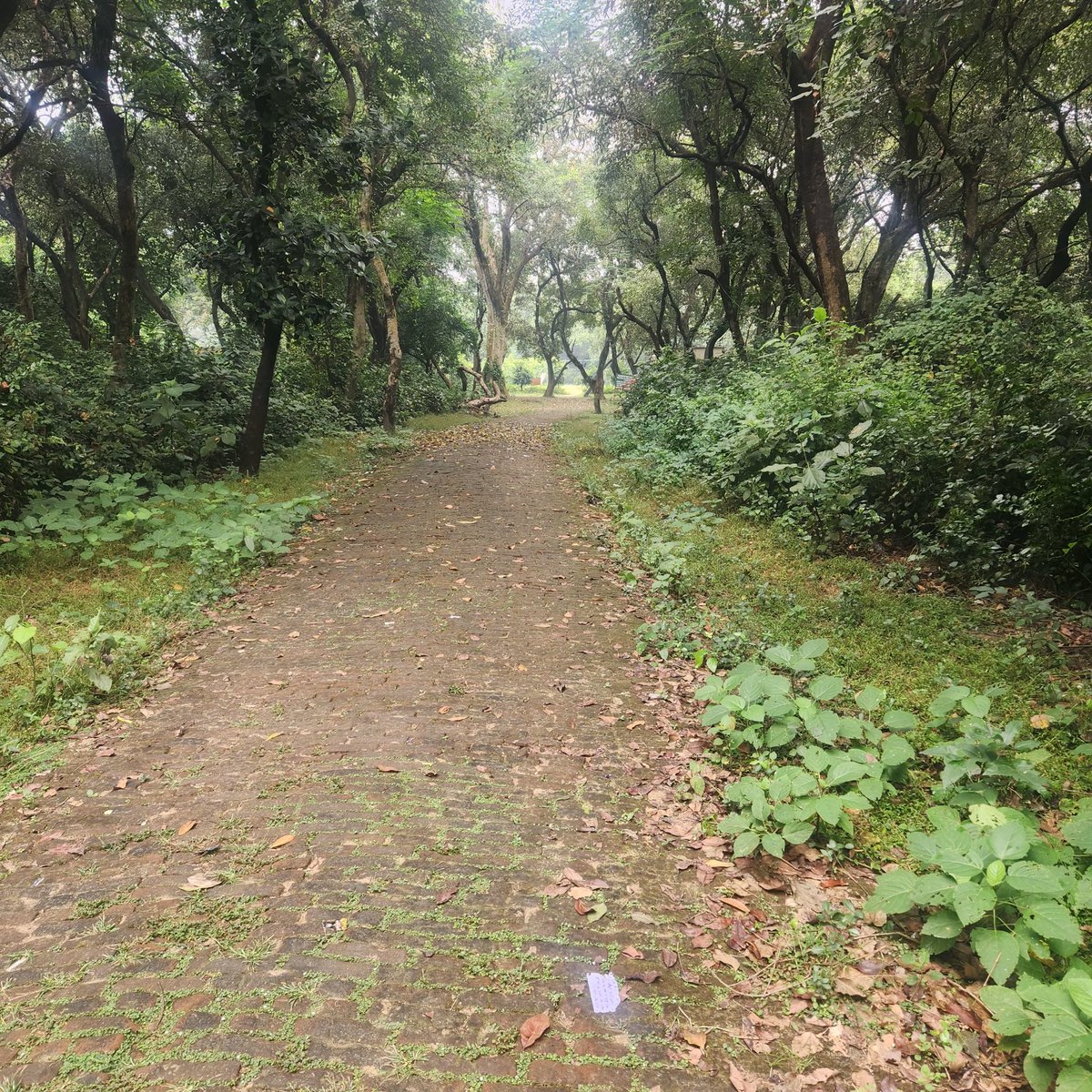 Avanish Utsav tweet media