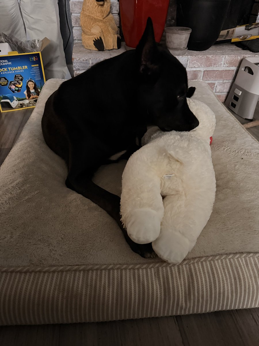 Oatmeal 🥣 tweet media